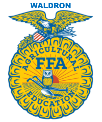 FFA = $MONEY$