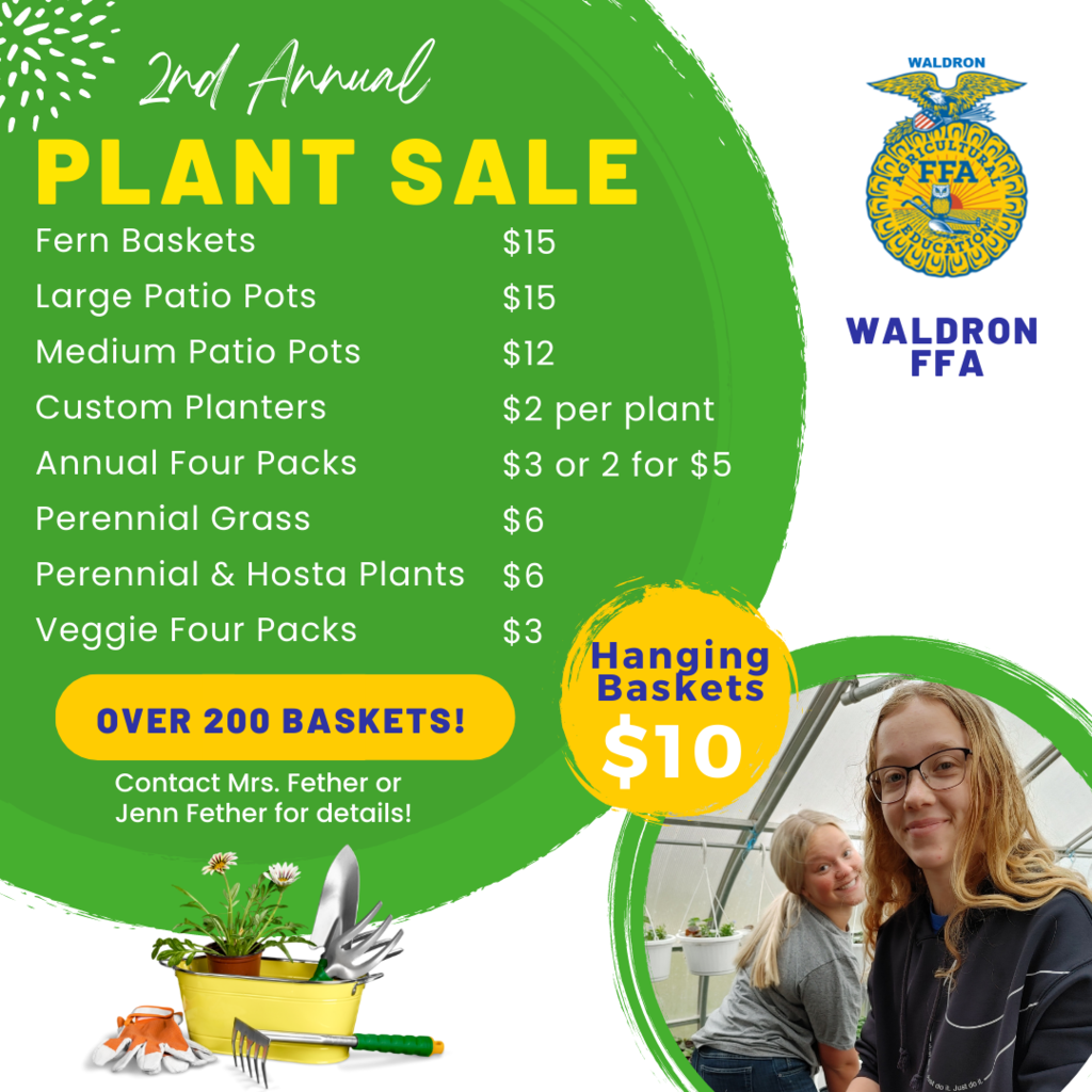 plants